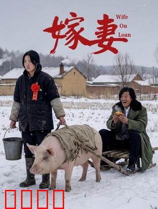 嫁妻：绝望的救赎