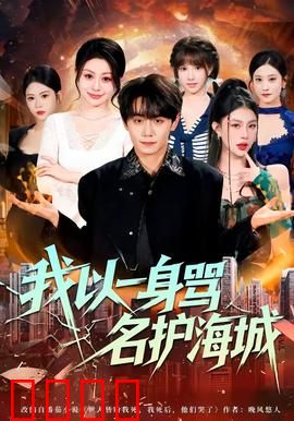 我以一身骂名护海城：孤胆英雄的悲歌