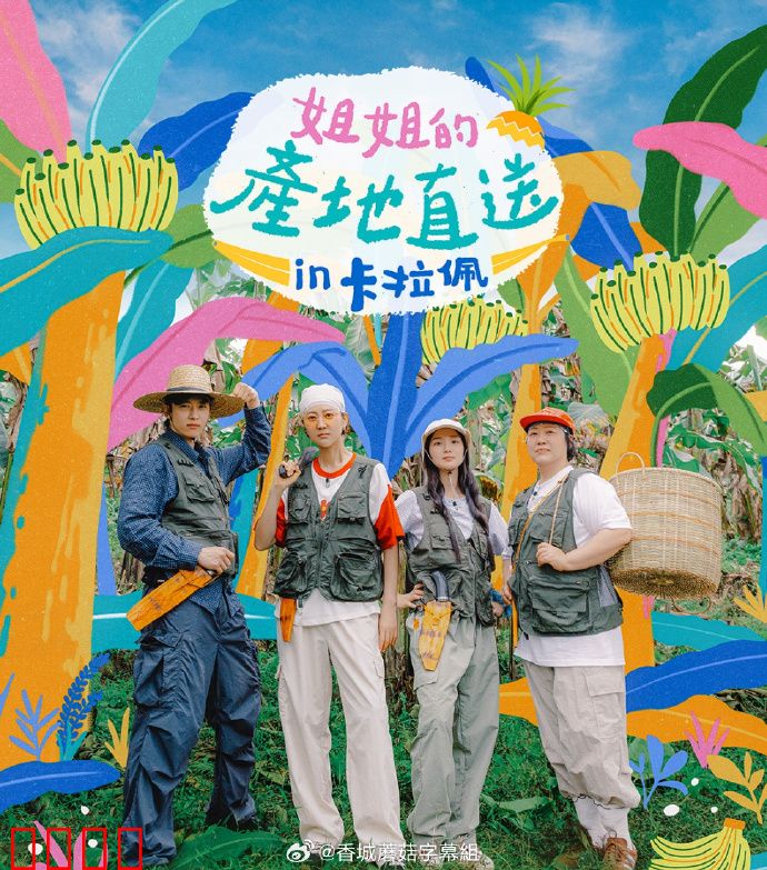 姐姐家的产地直送3：田园重生记