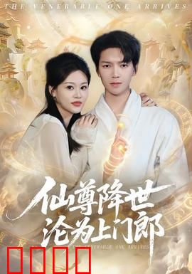 仙尊降世沦为上门郎：仙尊的逆袭