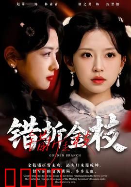 错折金枝：公主落难记