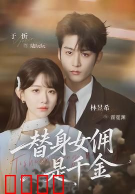 千金女佣：豪门替身