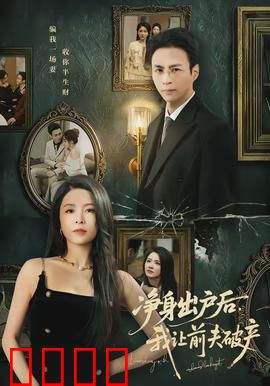 净身出户后，我让前夫破产：复仇女王