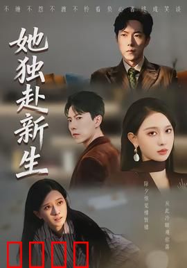 她独赴新生：孤身逆旅