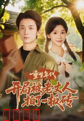 重生年代开局被老丈人拍了一板砖：逆袭80年代