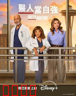 实习医生格蕾第二十二季：生死时速