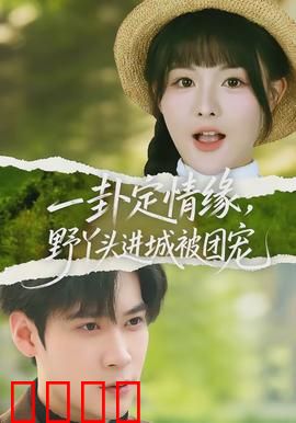 一卦定情缘，野丫头进城被团宠：神秘卦象逆转命运