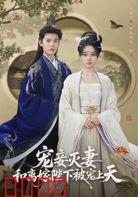 宠妾灭妻，和离嫁陛下被宠上天：王妃翻身记