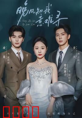 晚风知我意难寻：爱在时光尽头