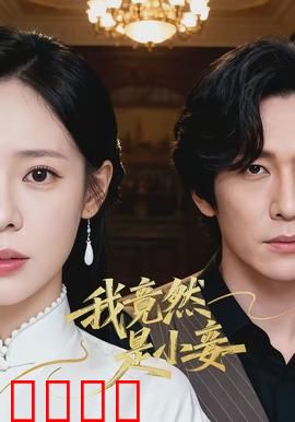 我竟然是小妾：逆袭成皇后