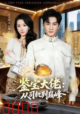 鉴宝大佬：逆袭之路