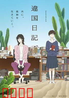 异国日记动画版：文化碰撞之旅