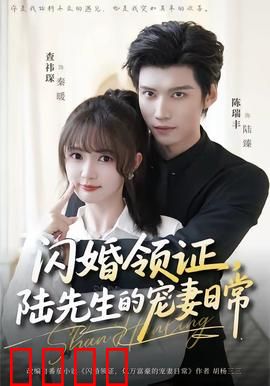 闪婚领证，陆先生的宠妻日常：霸道总裁宠到底