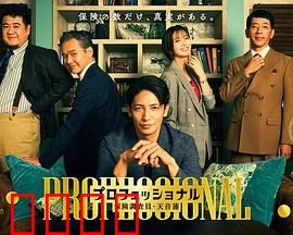 专业人士：亡命复仇