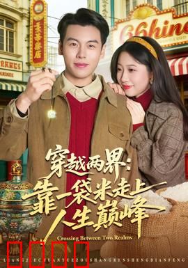 穿越两界：平行空间的爱恋