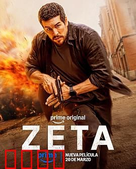 谍杀风暴：暗影对决