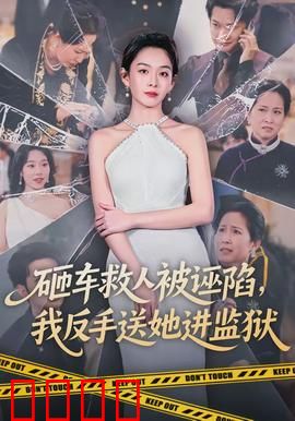 砸车救人被诬陷，我反手送她进监狱：正义从不缺席