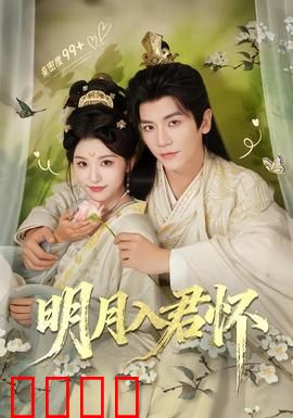 明月入君怀：盲夫医妻情