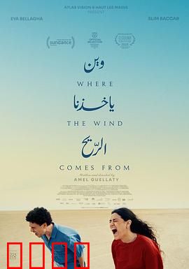 风来之所：命运的风暴