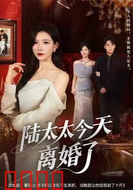 陆太太今天离婚了：逆袭之路