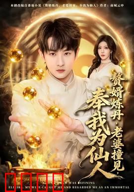赘婿炼丹，老婆撞见，奉我为仙人：逆袭修仙路