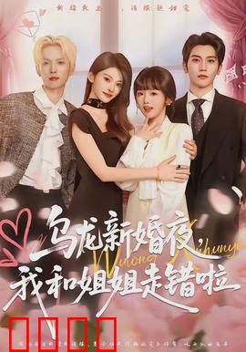 乌龙新婚夜，我和姐姐走错啦：搞笑反转记