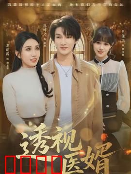 透视医婿：逆天医术崛起