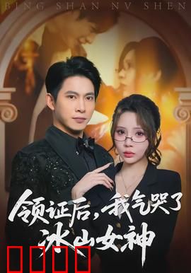 领证后，我气哭了冰山女神：爆笑婚后日常