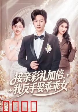 接亲彩礼加倍，我反手娶乖乖女：逆风翻盘