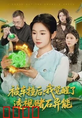 被车撞后，我觉醒了透视赌石异能了：逆天改命