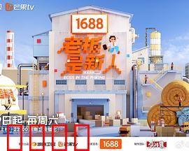 老板是新人：职场菜鸟逆袭