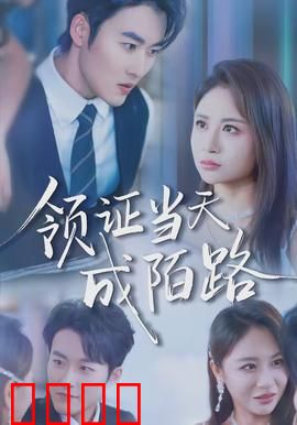 领证当天成陌路：新婚变陌路