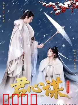 君心谋：权谋爱情双线交织