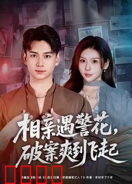 相亲遇警花，破案爽到飞起：甜蜜联手破大案
