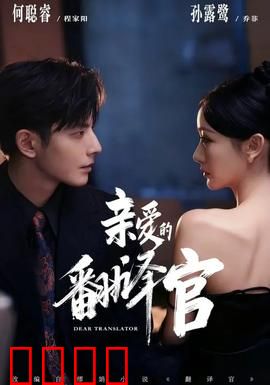 亲爱的翻译官：译路情缘