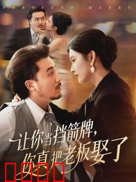 让你当挡箭牌，你真把老板娶了：职场逆袭记