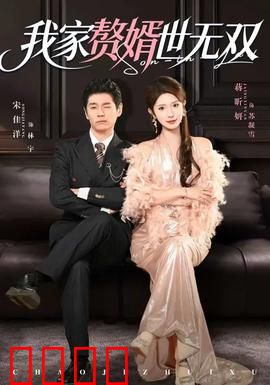 我家赘婿世无双：扮猪吃虎太爽了