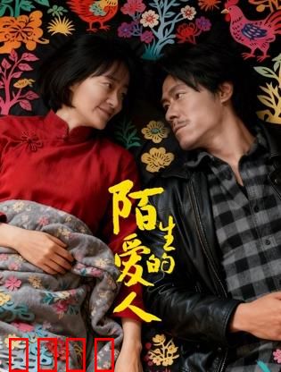 陌生的爱人：爱情悬疑谜局