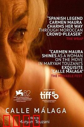 马拉加街夕阳红：退休特工的黄昏