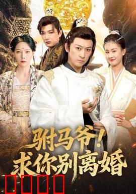 驸马爷！求你别离婚：追妻火葬场