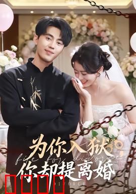 为你入狱，你却提离婚：因爱入狱的背叛