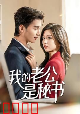 我的老公是秘书：职场夫妻甜蜜博弈