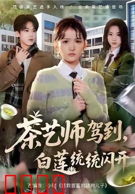 茶艺师驾到白莲统统闪开：茶道虐渣