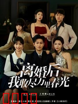 离婚后我收尽万里春光：女总裁逆袭记