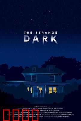 奇异黑暗：暗夜中的真相