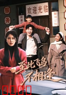 到此飞鸟不相逢：错过的缘分