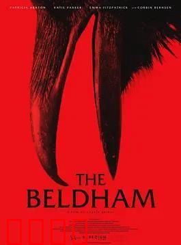 贝尔德姆：铁窗谜案