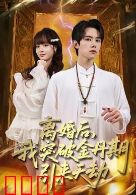 离婚后，我突破金丹期，引来天劫：逆袭之路