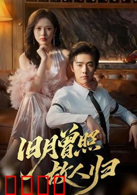 旧月曾照故人归：月光下的重逢