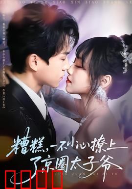 糟糕，一不小心撩上了京圈太子爷：豪门甜宠